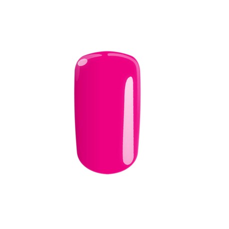 Polish C04