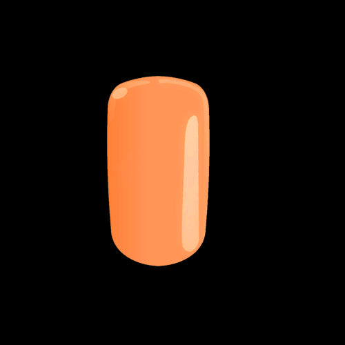 Polish C97