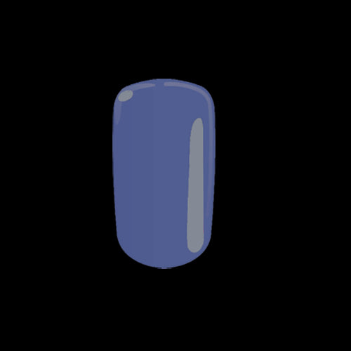 Polish C95